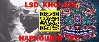 бошки Шебекино