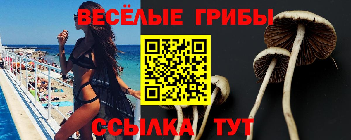 Галлюциногенные грибы Cubensis Белогорск